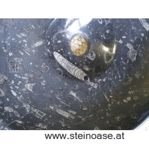 Waschbecken / Steinschale Fossilien-Marmor